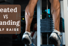 seated vs standing calf raise