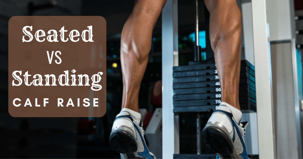 seated vs standing calf raise