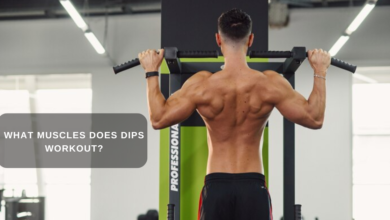 What Do Dips Work? What Muscles Does Dips Workout?