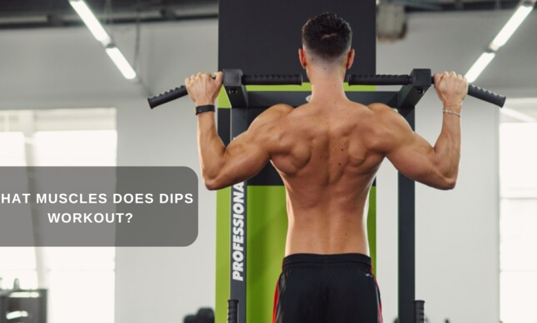 What Do Dips Work? What Muscles Does Dips Workout?