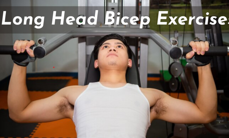 5 Best Long Head Bicep Exercises For Adults