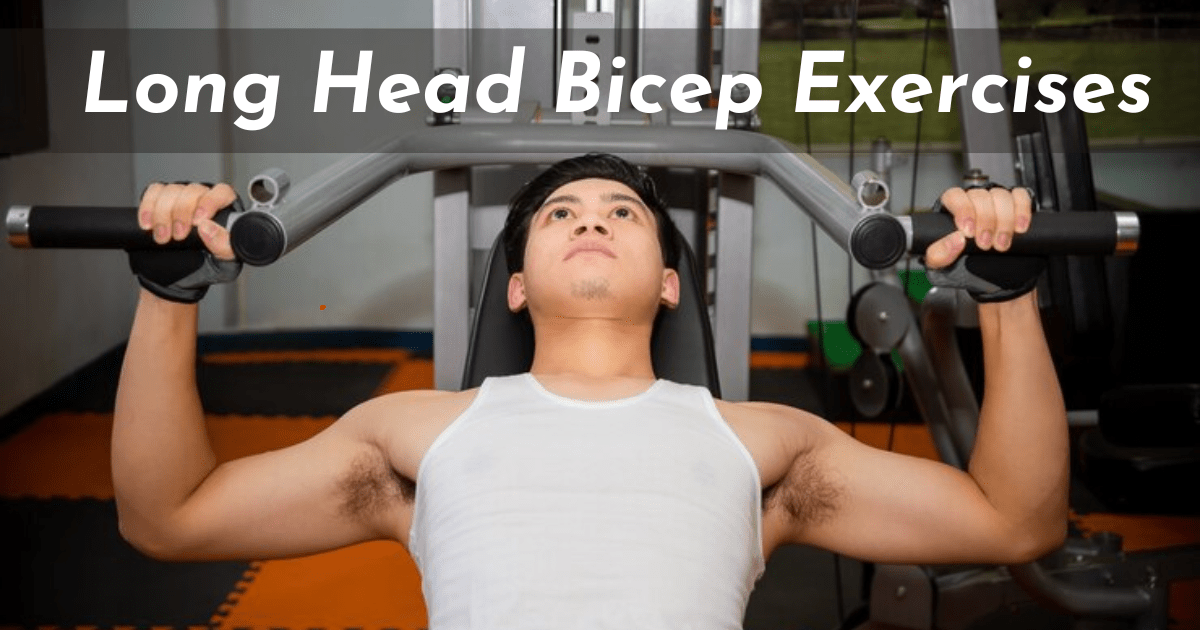 5 Best Long Head Bicep Exercises For Adults