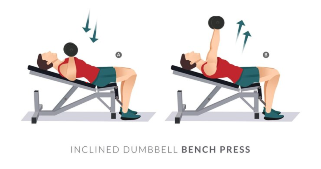 2. Incline Dumbbell Curl