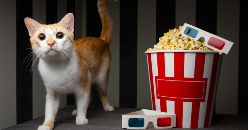 Can Cats Eat Popcorn?