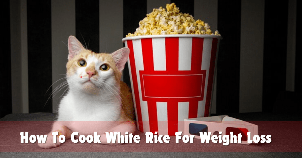 Can Cats Eat Popcorn?