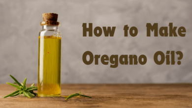 How to Make Oregano Oil? All The Easy Methods