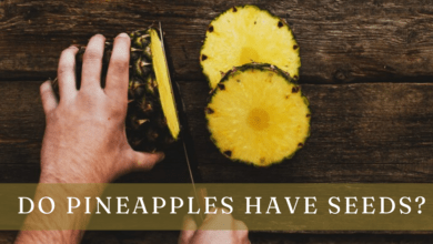 Do Pineapples Have Seeds