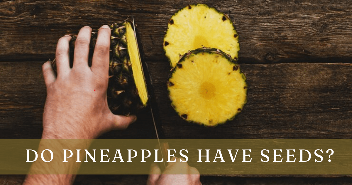 Do Pineapples Have Seeds