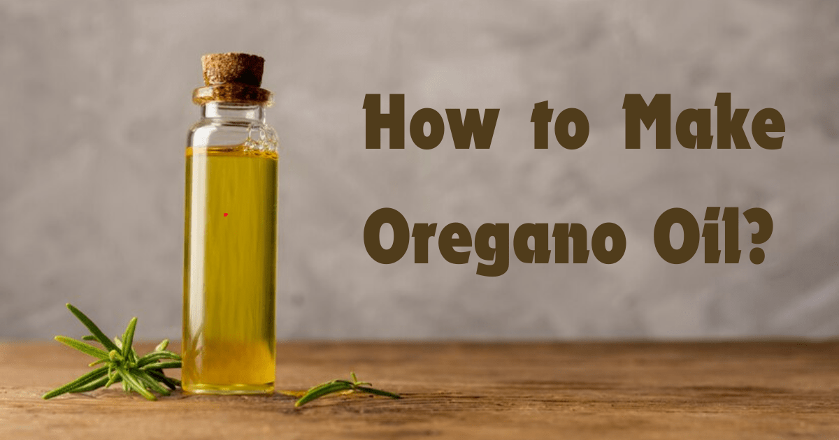 How to Make Oregano Oil? All The Easy Methods