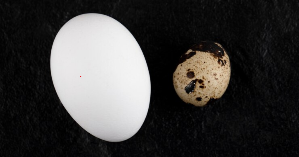 Nutritional Profile Quail Eggs vs Chicken Eggs