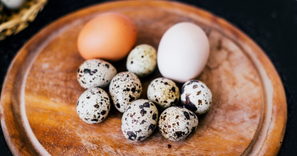 Are Quail Eggs Better Than Chicken Eggs?