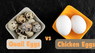 Quail Eggs vs Chicken Eggs: Which is Healthier?