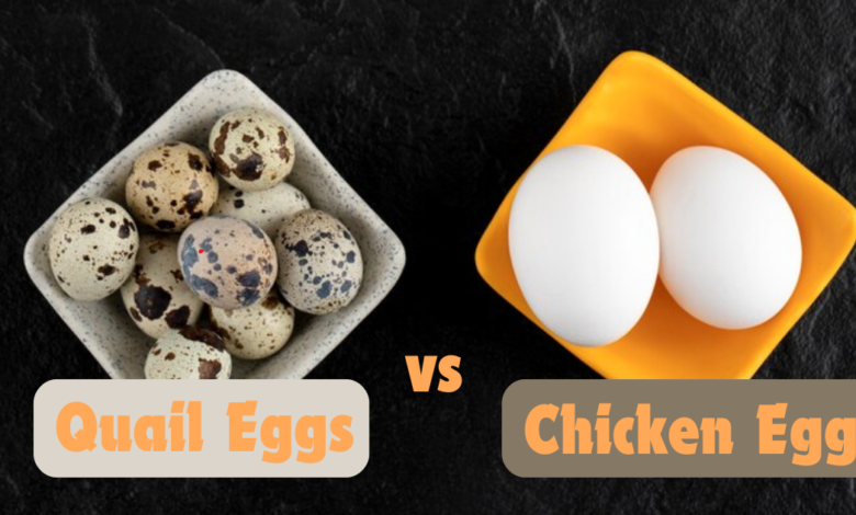 Quail Eggs vs Chicken Eggs: Which is Healthier?