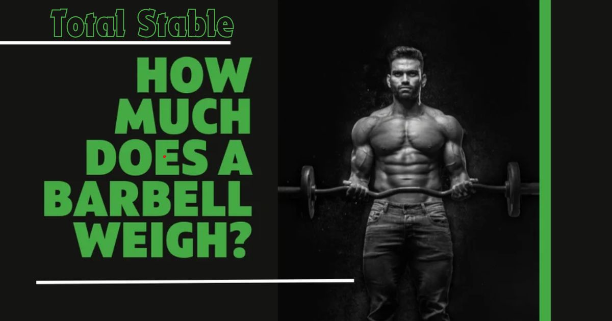 How Much Does a Barbell Weigh?