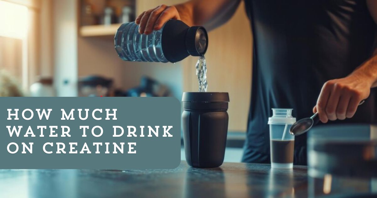 How Much Water to Drink on Creatine